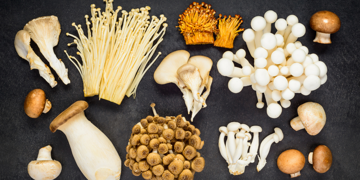 The Benefits of Functional Mushrooms