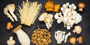The Benefits of Functional Mushrooms